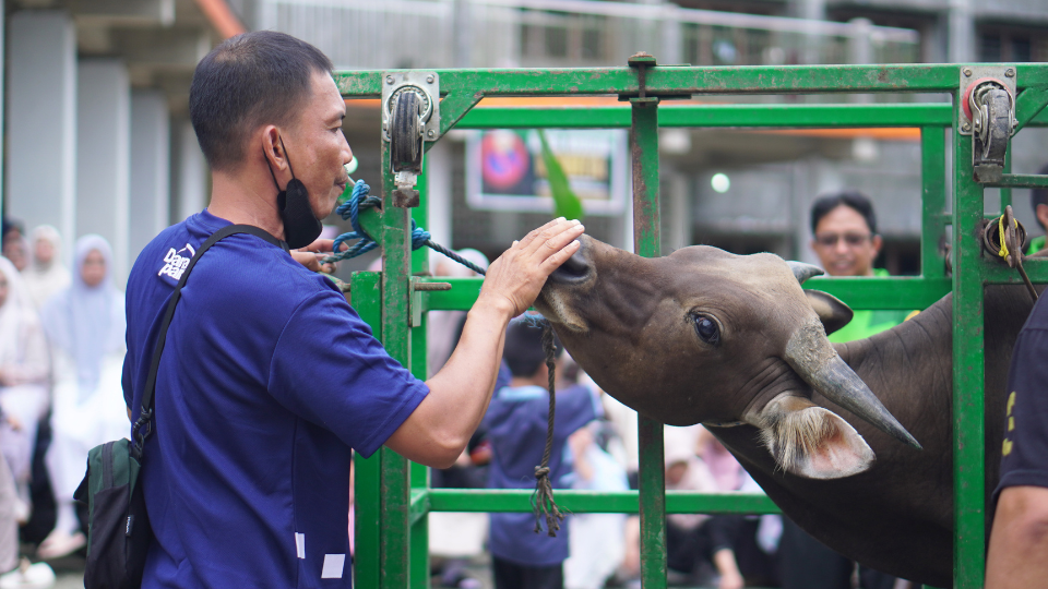 Semangat Berbagi Idul Adha, Yayasan Asy Syaamil Sukses Gelar Qurban bersama LAZ BMBU